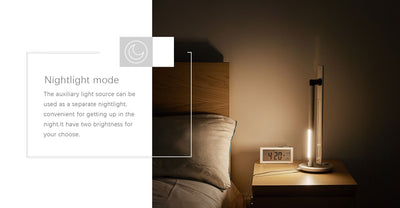 ESKY DUAL LAMP - Gifted Products