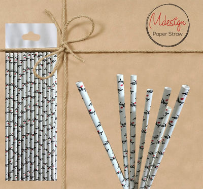 Paper Straw - Pattern - Gifted Products